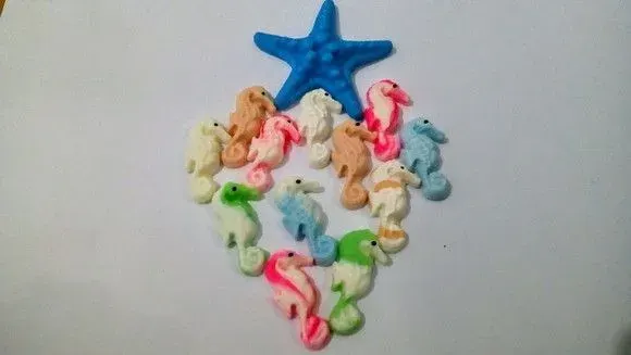 30 Aplique Cavalos marinho 50 Conchas Conchinhas natural top - artesanato de ilha arte mar