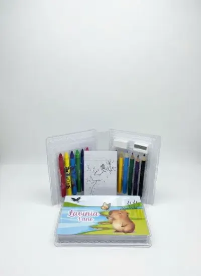 Estojinho de Pintura - Capivara Personalizado - artesanato de Mi Papelaria Criativa