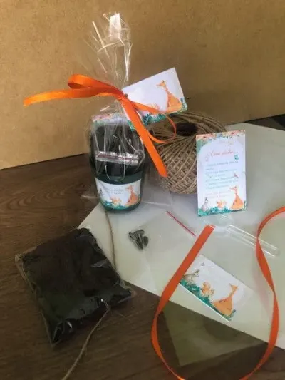 Kit Plantar Floresta Ecológico Personalizado - artesanato de creativitybynina