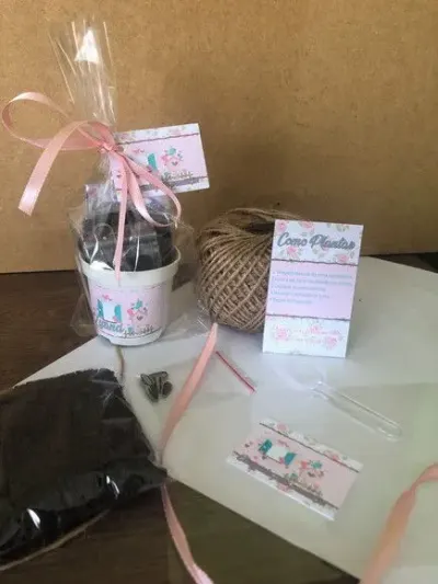 Kit Plantar Jardim Encantado Ecológico Personalizado - artesanato de creativitybynina