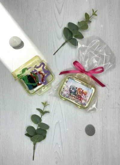 Mini Maleta - Skye e Everest Personalizada - artesanato de Mi Papelaria Criativa