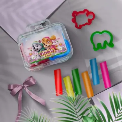 Mini Maleta - Skye e Everest Personalizada - artesanato de Mi Papelaria Criativa