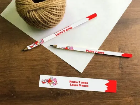 Lápis Sonic Menina Personalizado - artesanato de creativitybynina
