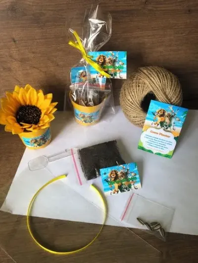 Kit Plantar Madasgascar Ecológico Personalizado - artesanato de creativitybynina