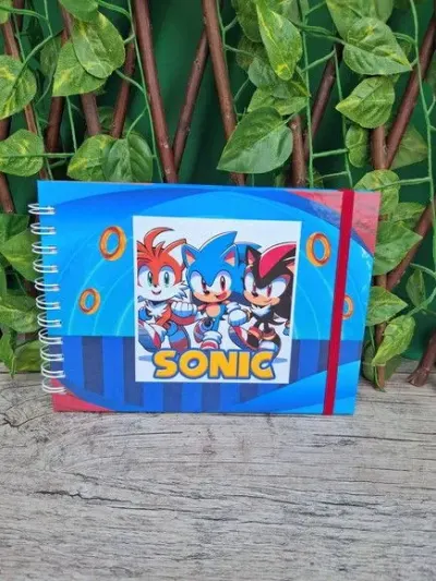 Livro de Colorir  Sonic - 50 desenhos-Capa Dura - artesanato de Criativos Artes  e Festas