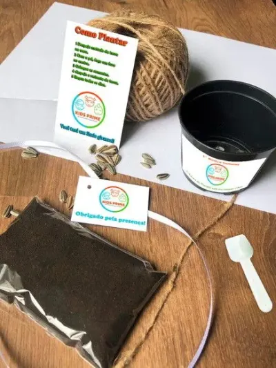 Kit Plantar Empresa Ecológico Personalizado - artesanato de creativitybynina