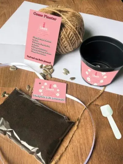 Kit Plantar Margarida Ecológico Personalizado - artesanato de creativitybynina