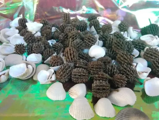 Mini Pinhas Naturais Pinheiro Natal Luxo 100 Unid - artesanato de ilha arte mar
