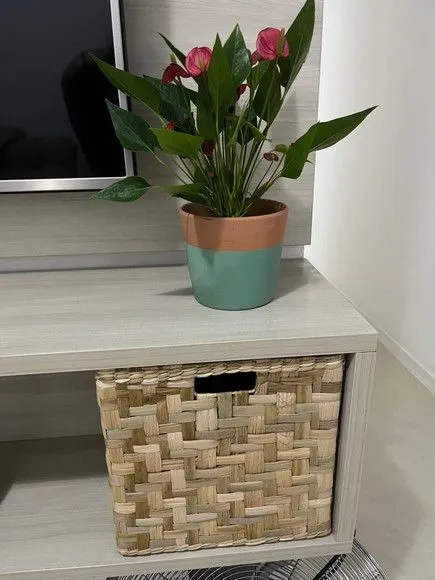 Cesto Caixote Taboa Nt 30x30x30 - 3 Peças - foto 2
