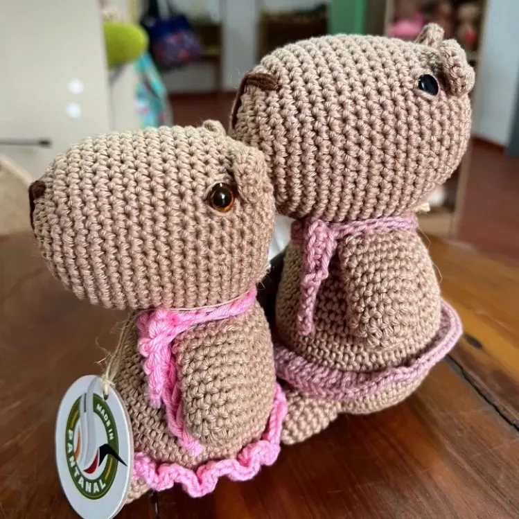 capivara de amigurumi - foto 2
