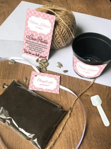 Kit Plantar Realeza Ecológico Personalizado - artesanato feito à mão por creativitybynina