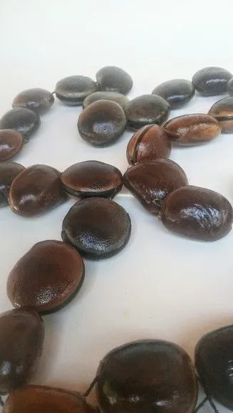 Colar sementes olho de boi guia proteção sorte 65cm - foto 3