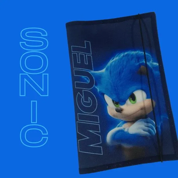 Capa para caderneta de vacinação - sonic - artesanato feito à mão por Innovare Studio