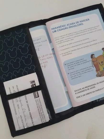 Capa para caderneta de vacinação - foto 3