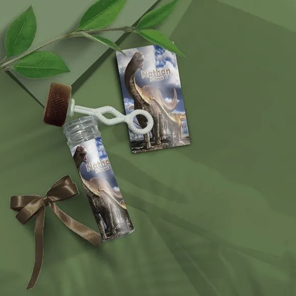 Bolha de Sabão - Dinossauro Personalizado - artesanato de Mi Papelaria Criativa
