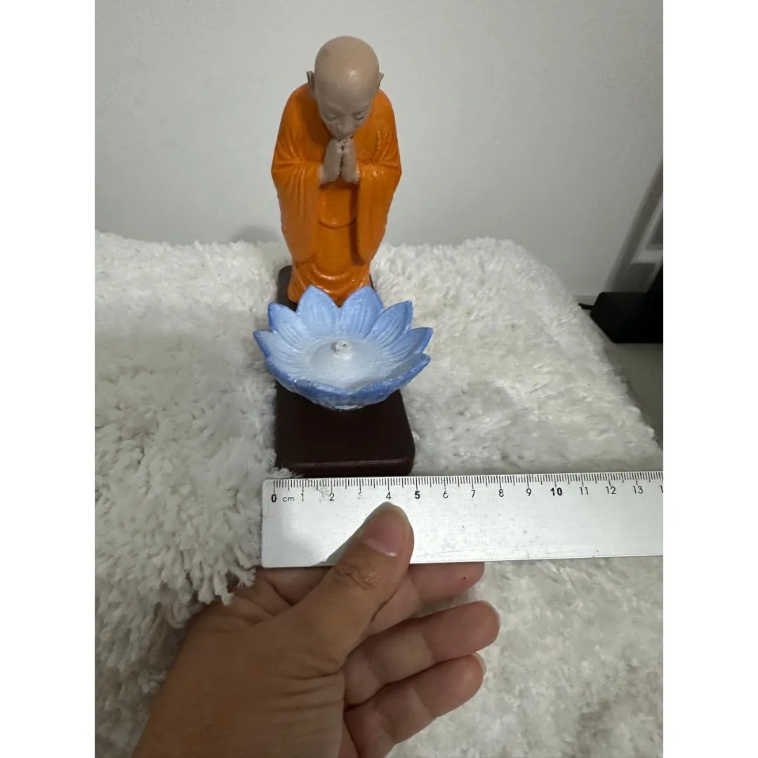 Isensario Monge - foto 4
