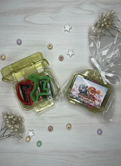 Mini Maleta - Skye e Everest Personalizada - feito à mão por Mi Papelaria Criativa