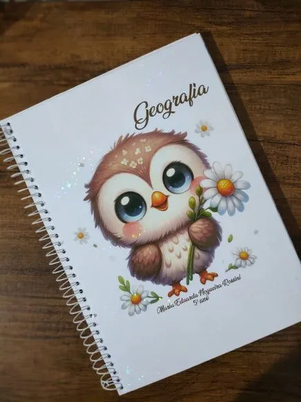 Caderno Capa Dura Grande Espiral 80fls - Corujinha