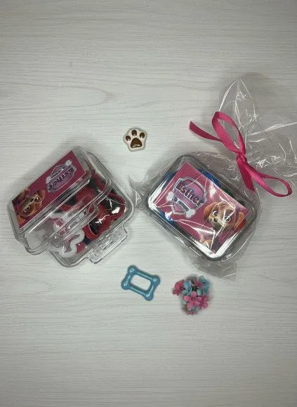 Mini Maleta - Skye Patrulha Canina Personalizada - feito à mão por Mi Papelaria Criativa
