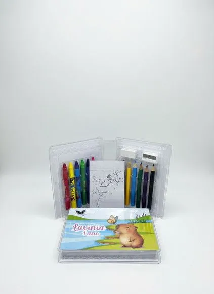 Estojinho de Pintura - Capivara Personalizado - artesanato feito à mão por Mi Papelaria Criativa