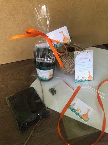 Kit Plantar Floresta Ecológico Personalizado - artesanato feito à mão por creativitybynina