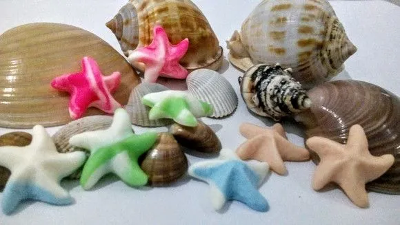 Apliques Mar Conchas,Conchinhas,estrelas,cavalos marinhos - foto 4