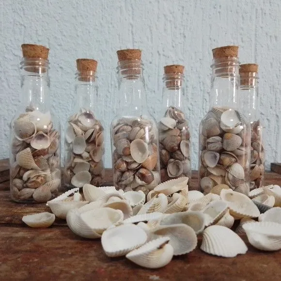 Mini Garrafinha com Conchas Decoração Praia - foto 2