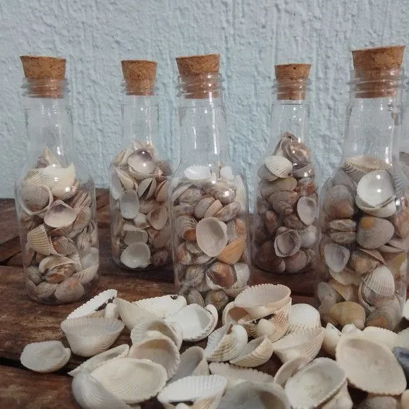Mini Garrafinha com Conchas Decoração Praia