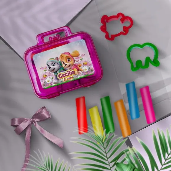 Mini Maleta - Skye e Everest Personalizada - feito à mão por Mi Papelaria Criativa