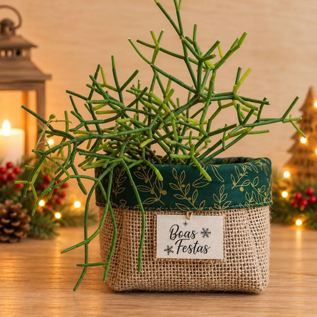 Cachepô Médio 13cm Natal e Ocasiões Especiais - Juta e Tecido com Tag - Lembrancinha e Brinde - foto 3
