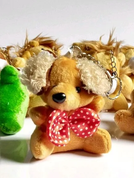 Chaveiro Pelúcia Personalizados - foto 5