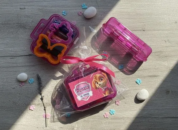 Mini Maleta - Skye Patrulha Canina Personalizada - feito à mão por Mi Papelaria Criativa
