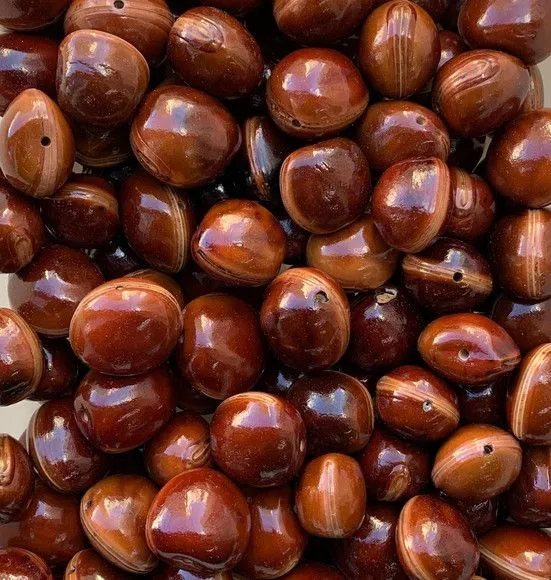 100 Unid Olho de Boi Furados Envernizados do Mar Sorte - artesanato de ilha arte mar