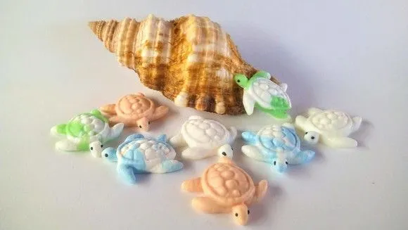 50 Apliques Fundo do Mar 50 Conchas conchinhas naturais top - foto 3
