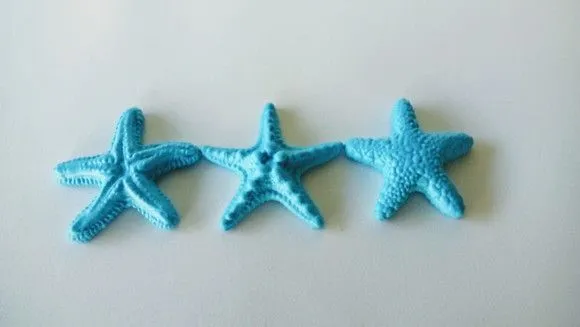 50 Conchas Marinhas Naturais+ 50 Estrelas em Biscuit Colors - foto 3