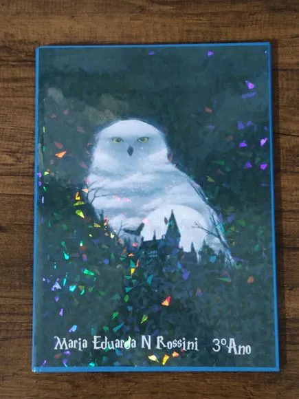 Caderno Capa Dura 1/4 Brochura 48fls - Harry Potter - foto 3