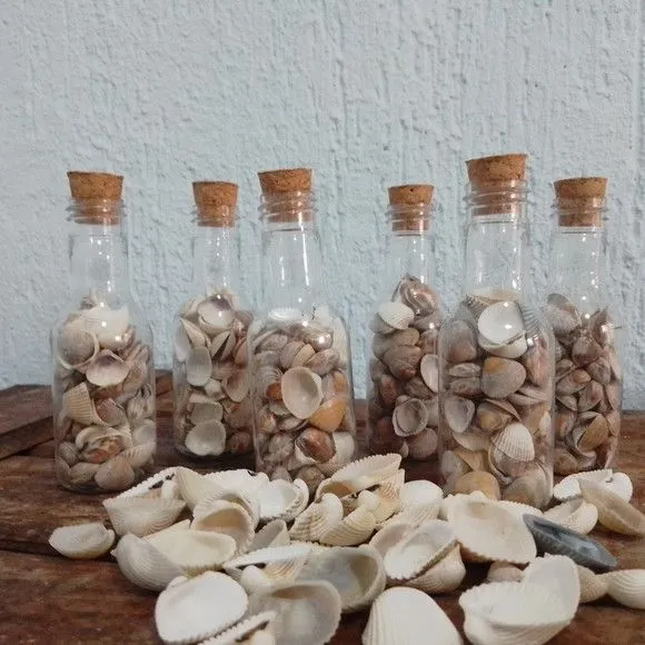 Mini Garrafinha com Conchas Decoração Praia - foto 3