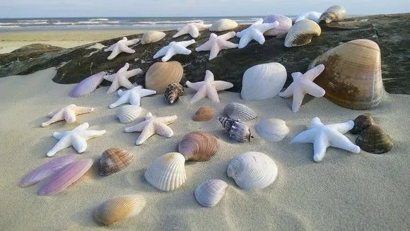 30 Estrelas do Mar de Biscuit 5x5 cm - artesanato de ilha arte mar