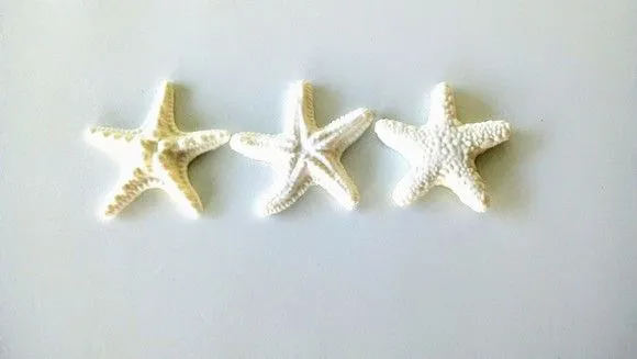 Estrela Estrelinha Mar em Biscuit Conjunto C/20 Colors - foto 5