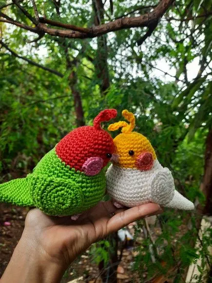 Casal de Cacatua - foto 4