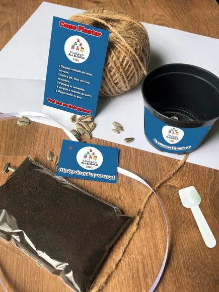 Kit Plantar Escola Ecológico Personalizado - artesanato feito à mão por creativitybynina