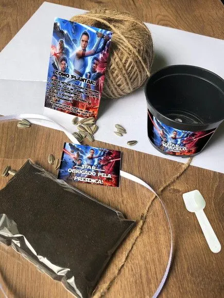 Kit Plantar Star Wars Ecológico Personalizado - feito à mão por Mi Papelaria Criativa