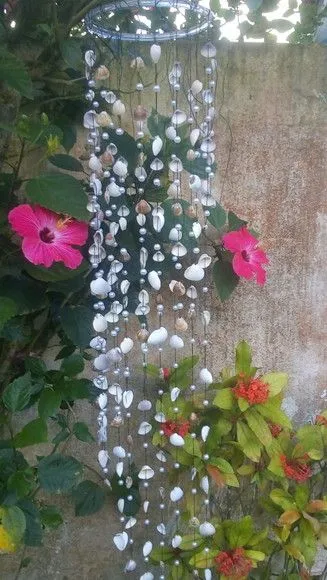 Sino dos Ventos Conchas Naturais com Perolas Praia Sereia Mar - foto 5