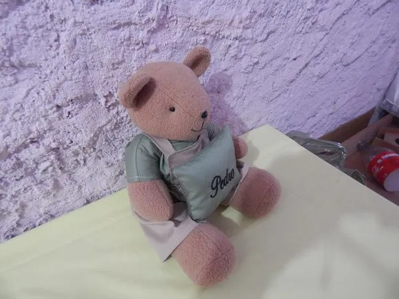 Urso Com Nome - foto 2