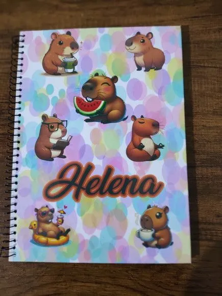 Caderno Capa Dura Grande Espiral 80fls - Capivara
