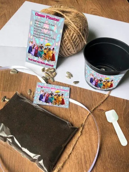 Kit Plantar Encanto Disney Ecológico Personalizado - artesanato feito à mão por creativitybynina