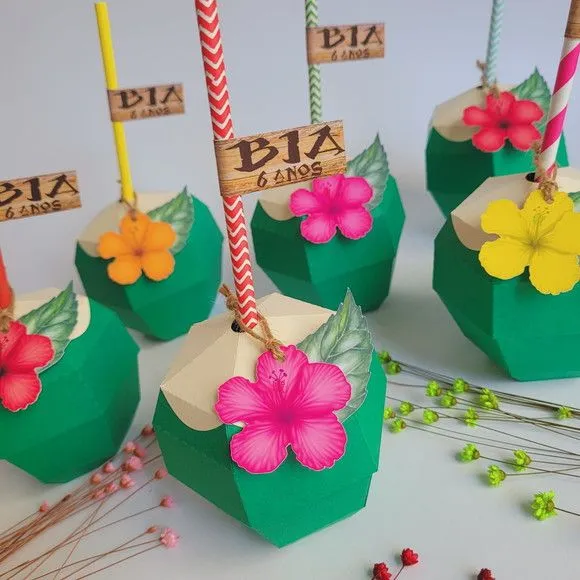 Caixa Coco Tropical / Moana / Tardezinha - Lembrancinha