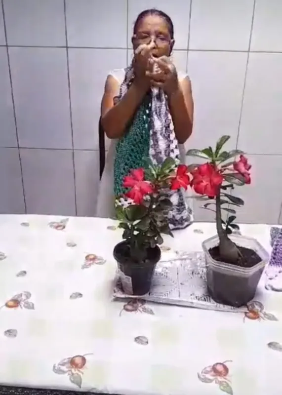 Foto de Mimo em ponto